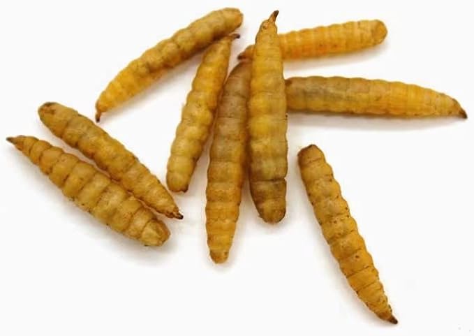 Premium Chicken Treats 2LB - Non-GMO & 85X More Calcium Than Meal Worms - Molting & Laying Supplement - BSF Larvae Treats for Layer Hens, Ducks Wild Birds