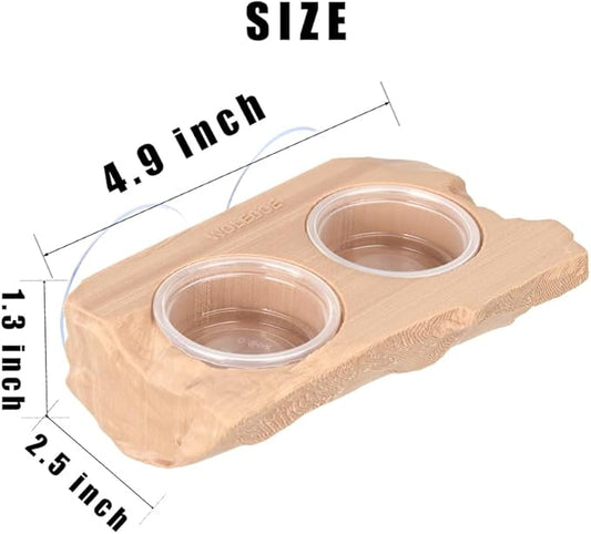 Crested Gecko Feeding Ledge with 10Pcs 0.5oz Food Dish, Suction Cup Reptile Feeder fit Chameleon Lguana Lizards