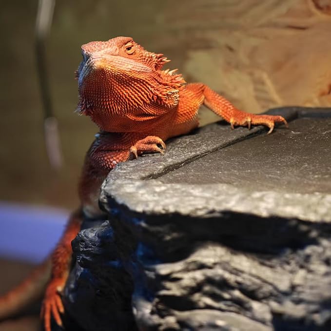 Large Bearded Dragon Basking Platform, Lizard, Snake or Reptile Hide with Heat Storage Slate Stone, 13x12x5 Inch Oversized Gecko Hide Cave