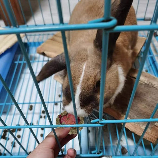 36Pcs Bunny Chew Toys,Natural Timothy Hay Handmade Grass Cakes Molar Treats for Bunny Chinchilla Guinea Pig Dwarf Rabbit Improves Teeth Health