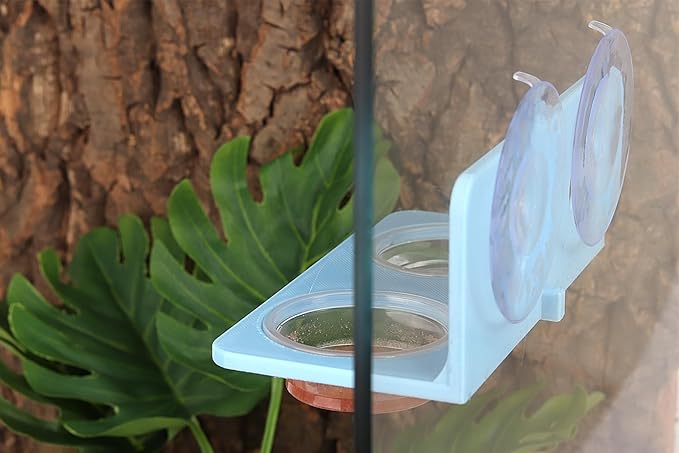 Crested Gecko Feeding Ledge with 10PCS Gecko Food Water Dish - Blue