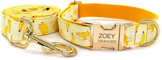 Custom Dog Collar with Names and Phone Number Engraved, Puppy Tags Personalized for Small Medium Large Pets
