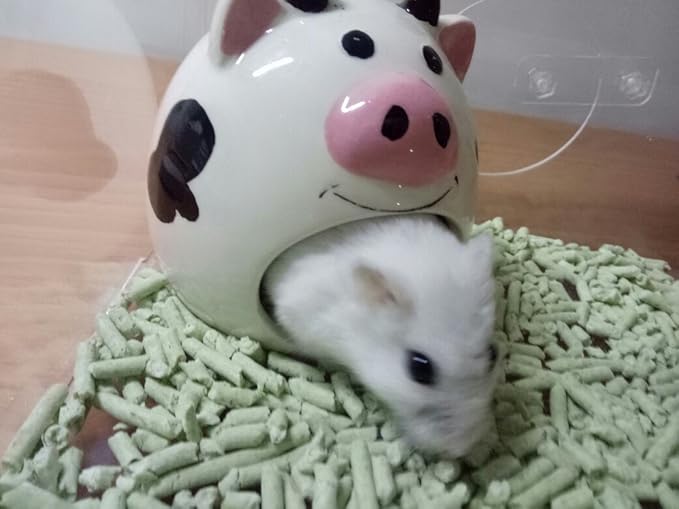 Hypeety Small Animal Hideout Ceramic House Critter Bath House Cave Mini Hut Cage for Dwarf Hamster (White)