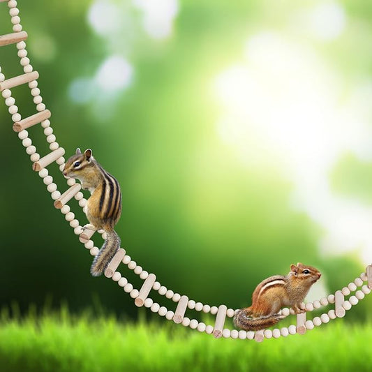 Bird Ladder Bridge, Wooden Pet Hamster Climbing & Swing Toys, Cage Accessories for Birds Rats Parrots Hamster Squirrel Sugar Gliders Parakeets Cockatiels - 28 Steps - 61.8 x 3.14 Inch