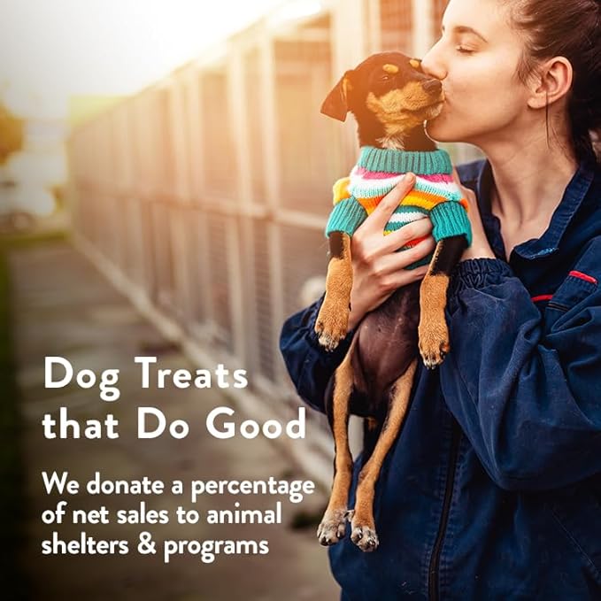 Portland Pet Food Company Pumpkin Dog Treats Healthy Biscuits for Small Medium & Large Dogs - Grain-Free, Human-Grade, All Natural Cookies, Snacks & Training Treats - Made in The USA - 3 Pack (5 oz)