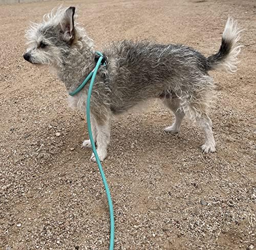 Mini Pig Harness & Leash -Adjustable- 12' in Length -Also fits Pot Bellied Pigs and Other Animals - Ferrets, Rabbits, Dogs, Cats (Teal)