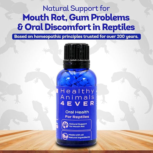 HA4E - Reptile Oral Health Support - Natural Mouth Rot Relief & Oral Hygiene Formula - Supports Gum Health, Comfort & Healing - 300 Tablets