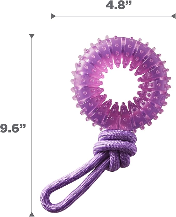 Outward Hound 2-in-1 Dental Dog Chew Wheel Ring & Rope Tug Toy for Teething Puppies & Dogs, Mint-Scented & Teeth-Cleaning, 9-Inch, Purple