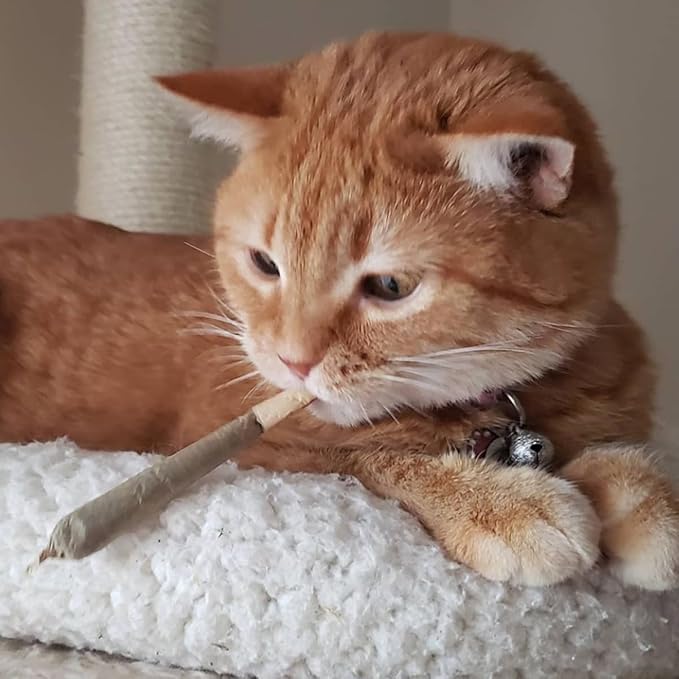 Meowijuana | King Size Catnip Joints | Organic | Dried Premium Ground Catnip | High Potency | Grown in North America | Feline and Cat Lover Approved