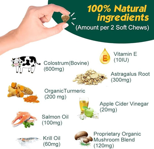 Advanced Allergy Immune Itch Relief for Dogs, Itching Skin Relief & Seasonal Allergies Support with Dog Probiotics, Astragalus Root & Mushroom, Colostrum, Turmeric, Salmon Oil - 90ct, Bacon