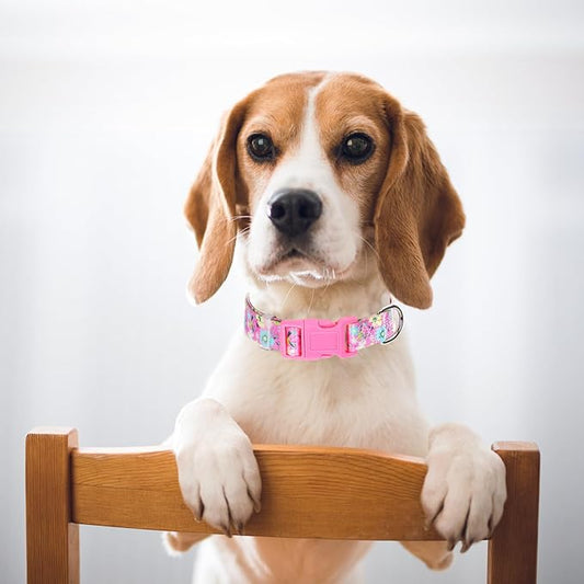 Girl Dog Collars for Large Dogs, Cute Girl Pink Dog Collar with Boho Flowers Patterns, Adjustable Comfy Soft Durable Pet Collar for XS Small Medium Large Extra Large Dogs (XL)