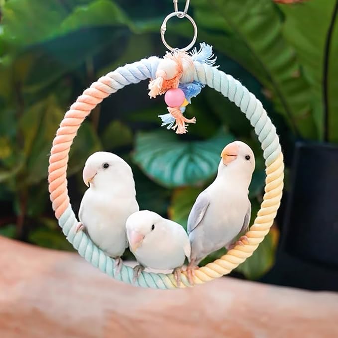 Gradient Colorful Cotton Rope Bird Swing Cage Hanging Toys for Birds Like Parakeets Parrots Cokatiel Budgies Bite Resistance Perch Stand Toys Bird Cage Accessories Perches