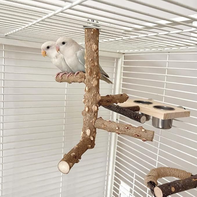 Bird Perch Stand Toy, Natural Wood Parrot Perch Bird Cage Branch Perch Accessories for Parakeets Cockatiels Conures Finches Lovebirds (S)