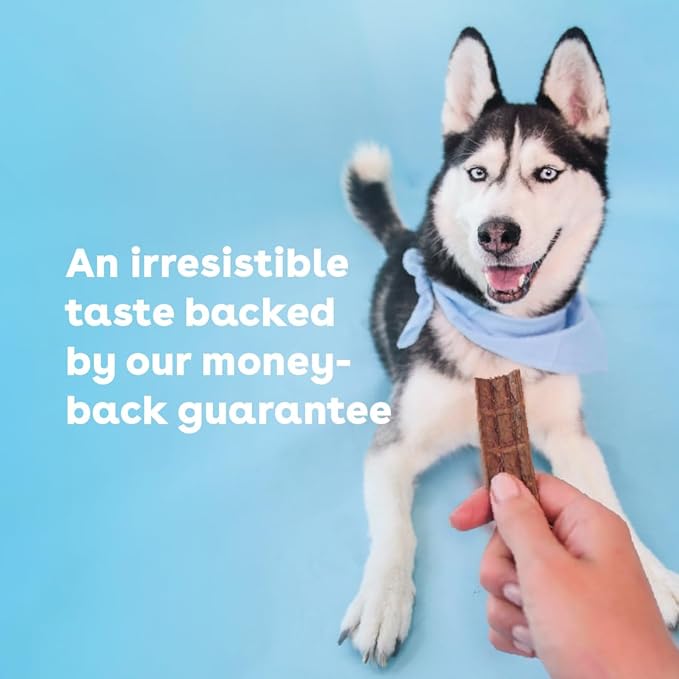 Pupford Pork Jerky for Dogs & Puppies, All-Natural, Healthy Dog Treats, No Fillers, Made in USA (16 oz)