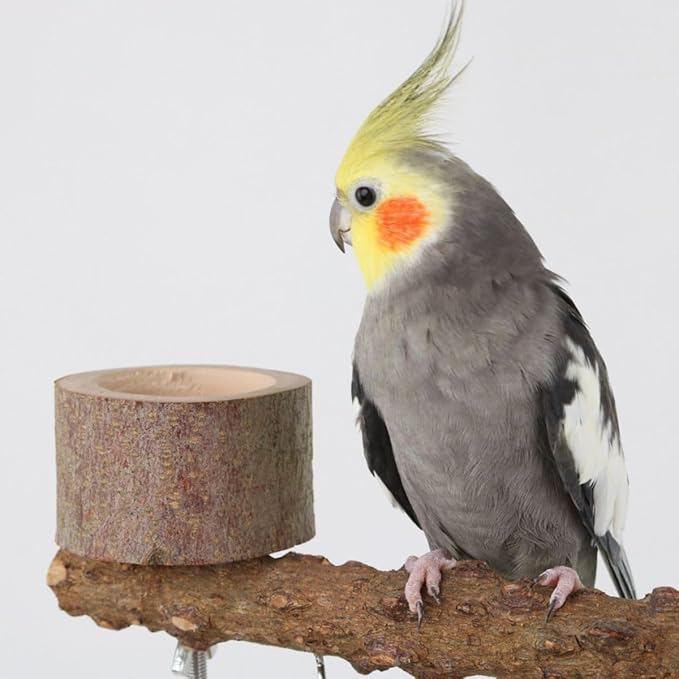 Natural Wood Parrot Stand - Ideal Toy & Accessory for Parakeets, Canaries, Cockatiels, Conure, Lovebirds - Bird Perch Stand with Removable Tray Climbing Net Chewing Toys- Perfect Pet Birds Playstand