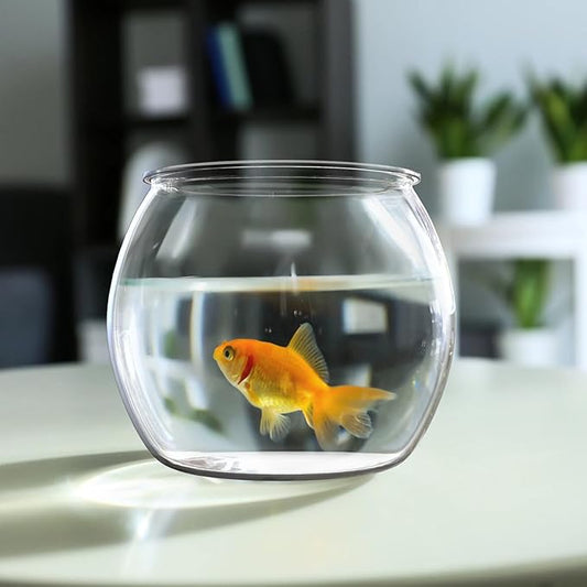 Balacoo Clear Fish Bowl: Plastic Vase Bowl Round Aquarium Terrarium Betta Fish Bowl Hydroponic Plants Holder Flower Vase