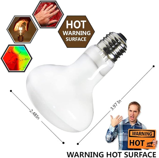 2 Pack Reptile Heating Bulb 50W with Sticked Digital Thermometer for Reptiles Amphibians,Turtles,Chamelon,Lizard,Python,Ceratophrys