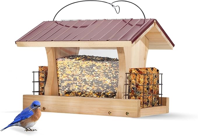 XL Large Hopper Bird Feeders for Outside - DIY Birdfeeder Kits for Adults to Build - Ranch Feeder W/Suet Cages - Heavy Duty 3/4" Red Cedar - Longtime Durability - 5 Lbs Compacity, 13" Size