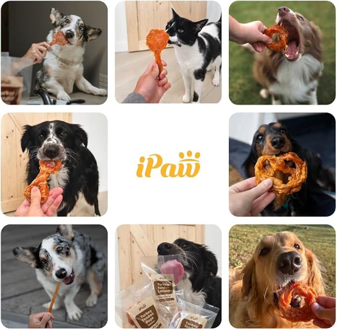 iPaw Turkey Tendon for Dogs Bulk Pack, Ingredient Sourced from USA, Hypoallergenic, All Natural Human Grade Puppy Chew, Dog Treats for Signature Series, Rawhide Alternative, 40 Units/Box Ring (Small)