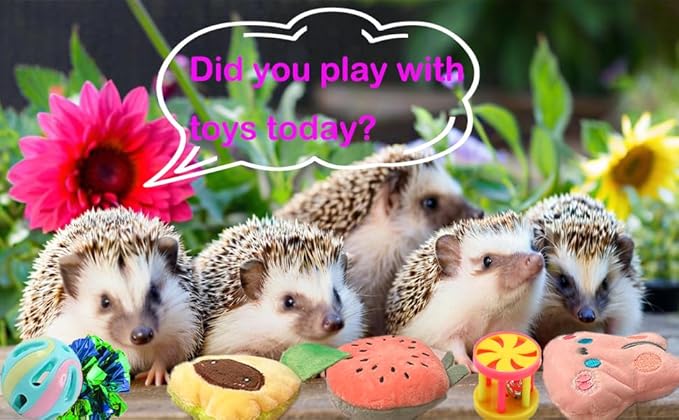 10 pcs Cute Hedgehog Enrichment Toys Hedgehog Supplies Cage Accessories Small Animal Ball Bell Pet Interactive Stuffed Toys Exercise Ball for Hamster Lizard Turtle Rats