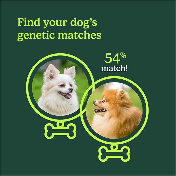 AncestryDNA Genetic Test Kit and Know Your Pet DNA Breeds Kit Bundle