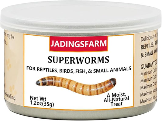 6 Pack Canned Superworms for Reptiles, Fish, Birds and Small Animals, Super Worms, Healthy High Protein Treat for Reptile Bird Fish Food 7.2 Ounces Total