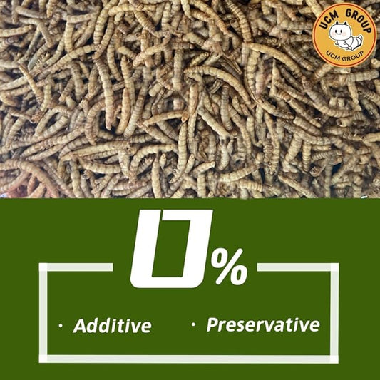 UCM Group 20LB Dried Mealworms for Wild Birds, Chickens, 100% Non-GMO,High Protein, 2 Packs