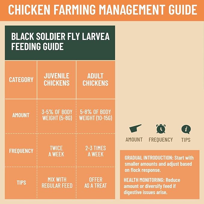 30LB Non-GMO Dried Black Soldier Fly Larvae for Chicken – 85X More Calcium Grubs Than Mealworms for Strong Eggshells & Healthy Growth - High Protein for Chickens, Birds, Ducks, Geese & Pets