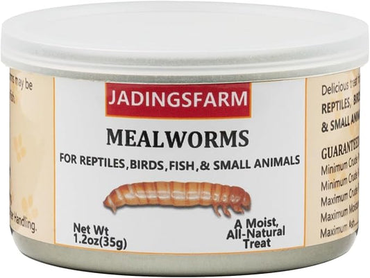 6 Pack Canned Mealworms for Reptiles, Fish, Birds and Small Animals, Meal Worms, Healthy High Protein Treat, Reptile Bird Fish Food 7.2 Ounces Total