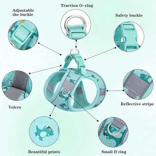 Step in Dog Harness and Leash Set, Flower Adjustable Easy Walk Puppy Harnesses, Soft Mesh No Pull Pet Vest Harness for Small Medium Dogs(Green, S)