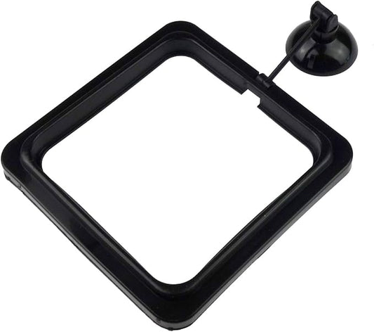 5 Pack Aquarium Fish Feeding Ring Floating Food Feeder, Square Shape with Suction Cup, Black