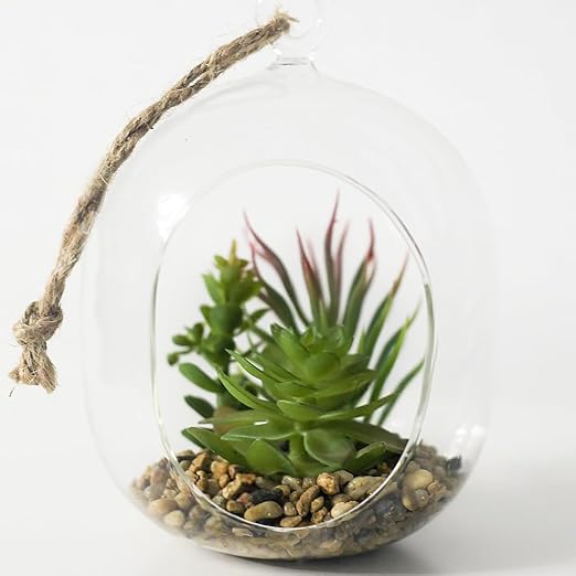 10LB Succulent and Cactus Gravel Pebbles, 3/8 Inch Decorative Polished Stones, River Rocks for Plants, Vases, Aquariums, Terrarium and Outdoor Gardening, Natural