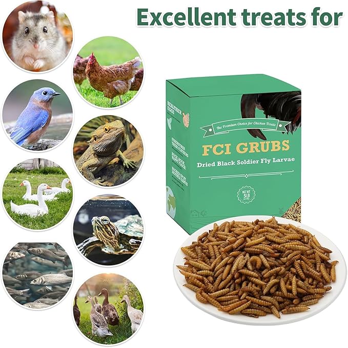 High Calcium, Non-GMO, 5LB Dried Black Soldier Fly Larvae for Chickens, 60-100X More Calcium Than Mealworms,Treat for Laying Hen, Ducks, Wild Birds,Turtles