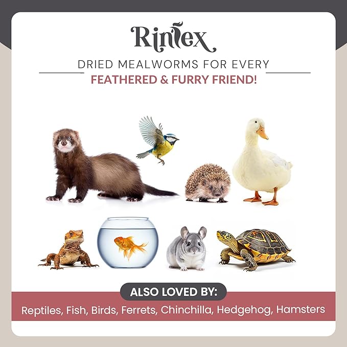 Dried Mealworms 8 oz - High Protein Food - Non Gmo Mealworms - Chicken Treats for Laying Hens - Dried Mealworms for Hamsters , Bluebird Feed, Reptile Food, Turtle Food, Hedgehog Food, Squirrel Food