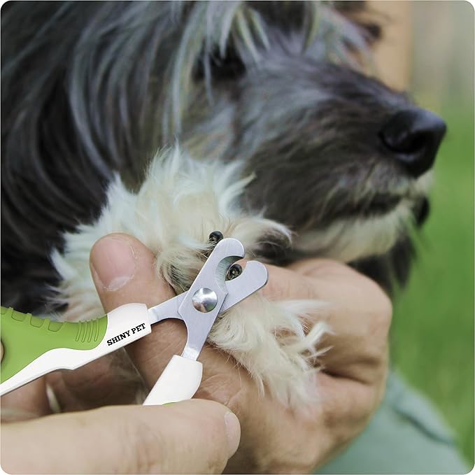 Cat Nail Clippers for Beginners and Groomers - Best Pet Nail Clippers & Claw Trimmer for Home Grooming Kit - Grooming Tool for Small Animals Tiny Dog Indoor Cat Bunny Rabbit Bird Kitten - Ebook Guide