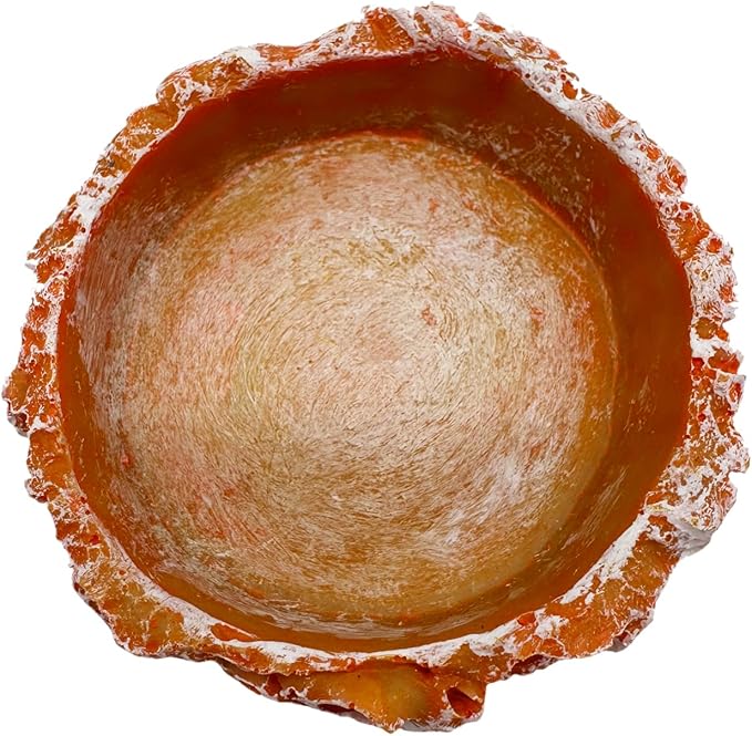 3 Pack Small Reptile Food and Water Bowls, Reptile Feeding Terrarium Bowls for Bearded Dragon Lizard Frog Gecko Tortoise Hermit Crab Snail (Orange B)