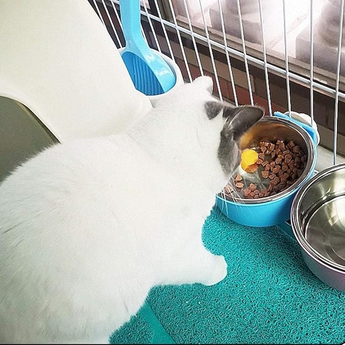 Hamiledyi 2-Pack Hanging Dog Bowls with Removable Stainless Steel Feeder - Spill-Proof Crate Bowls for Kennel/Cage, Puppy to Medium Dogs, Cats, Rabbits & Guinea Pigs (Durable Pet Food & Water Dishes)