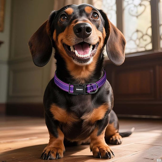 Reflective Dog Collar with Soft Padding Dog Collar for Medium & Small Dogs, No Pull, Heavy Duty, Adjustable Nylon Collar with Quick-Release Buckle, Walking Training Purple-S