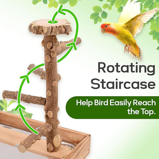 Bird Playground, Bird Perch Play Stand, Conure Parakeets Parrots Cockatiel Toys, for Bird Cage Accessories, Natural Wood