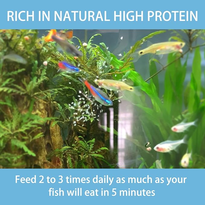 Brine Shrimp Fish Food, Ready to Use Aquarium Fish Food, Non-Living Instant Baby brine Shrimp, Food for Betta Saltwater Marine Freshwater Fish (Daphnia)