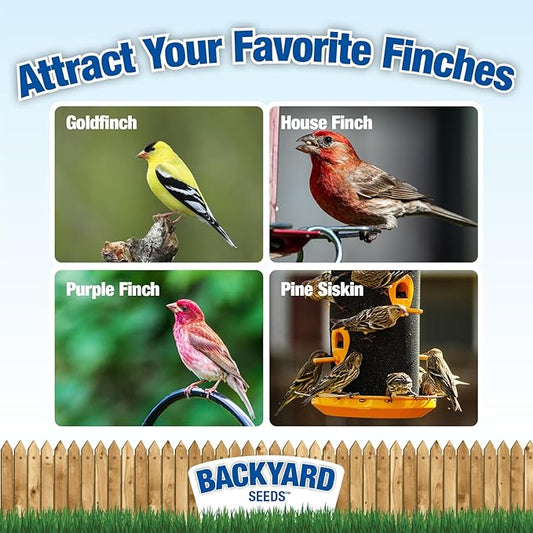 CountryMax Backyard Seeds Finch & Small Songbird Frenzy Wild Bird Seed Mix – 5 lb Bag | Premium Blend with Nyjer, Millet, Sunflower Chips | Attracts Goldfinches, House Finches, Chickadees