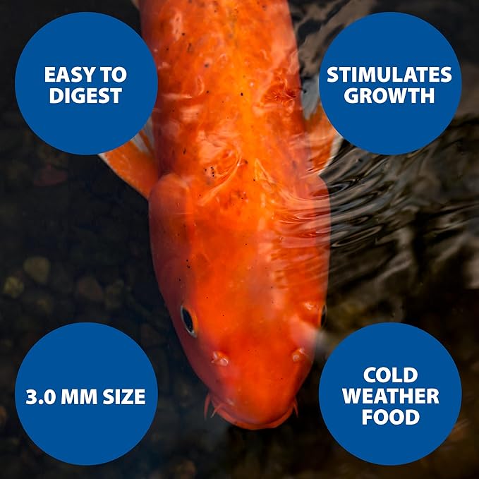The Pond Guy Spring & Fall Wheat Germ Fish Food for Koi & Goldfish, Premium Cold Weather Floating Pellets, Healthy Formula for Winter Nutrition, 12 lbs