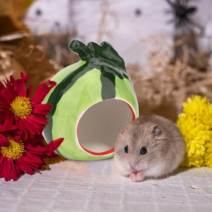 Hypeety Small Animal Hideout Ceramic House Critter Bath House Cave Mini Hut Cage for Hamster (Green)