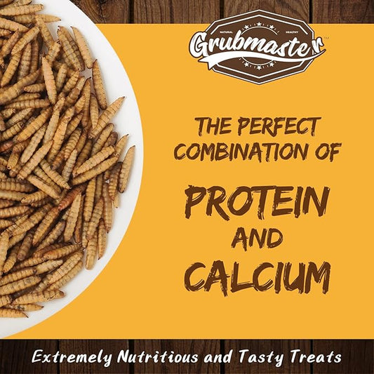 Dried Black Soldier Fly Larvae for Chickens, Natural Healthy Chicken Treats for Backyard Poultry - 2 lb. Bag