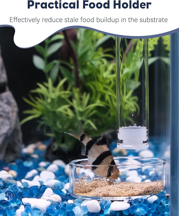 Pawfly Aquarium Fish Feeding Dish Set – Clear Glass Shrimp Feeder Tube with Dish & 2 Suction Cups, Fish Tank Feeding Supplies for Shrimp, Betta and Tropical Fish