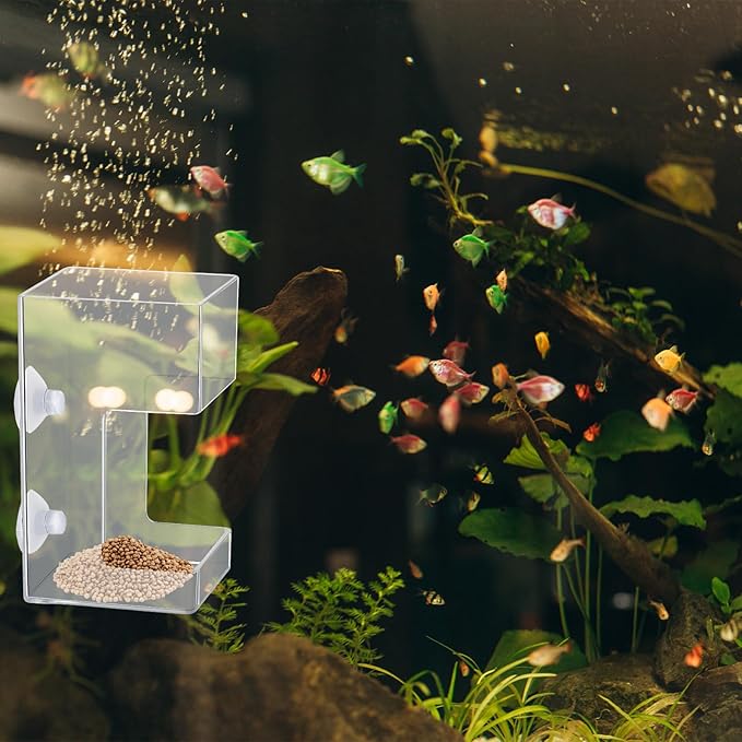 Fish Tank Feeding Tray for Fish Aquarium Feeding Dish Fishes Feeder Fishes Tank Dish with Suction Cup 3.9x2.4 Inch Feeding-Tube Ring Container Holder Dispenser for Shrimp Turtle