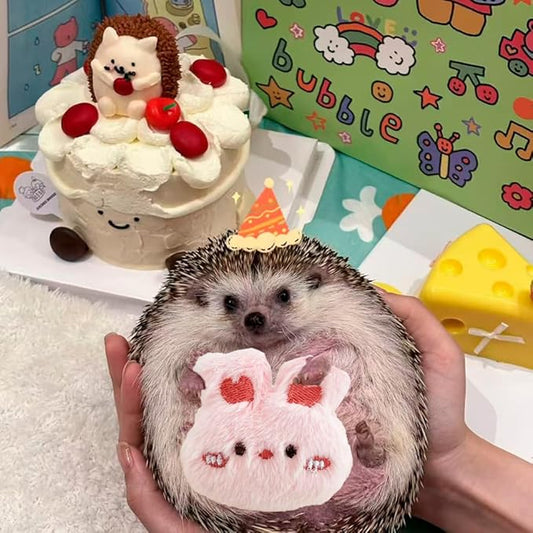 10 Pcs Hedgehog Pet Toys Small Animal Accessories for Hedgehogs Enrichment Toys Cage Ball Bell Toy Hedgehog Supplies Exercies Interactive Plush Toy