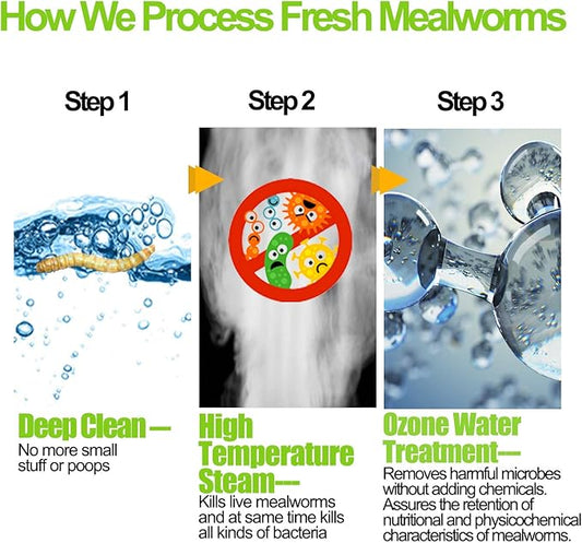 Amzey Fresh Mealworms 8.4 oz (1600 Count Total, 12 Bags) Superior to Live Meal Worms - Premium Food for Leopard Gecko, Birds, Sugar Glider, Hedgehog - High Nutritients, No Preservatives