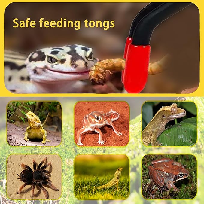 2 Pcs Reptile Feeding Tongs – Stainless Steel Aquarium Tweezers with Rubber Tips, Straight & Curved Long Handle for Bearded Dragons, Lizards, Snakes, Spiders & Terrarium Feeding