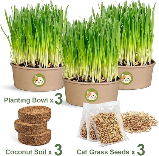 Cat Grass for Indoor Cats - Cat Grass Seeds Kit - Organic Cat Grass Growing Kit with High Germination Organic Wheat Seeds, Soil, and Planting Tools - Natural Hairball Control and Digestion Remedy